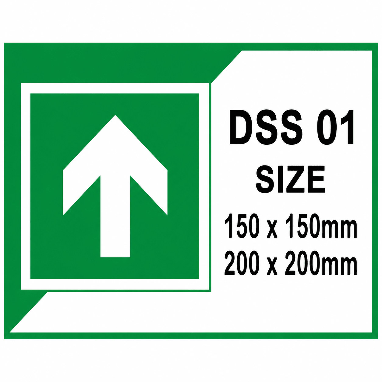 DSS 01